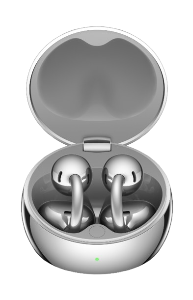 Huawei Earbuds T0027 Free Clip 2S Space Silver